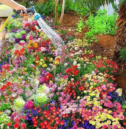 Buy Varieties of Flower Seeds Get Plant Growth Supplement Free