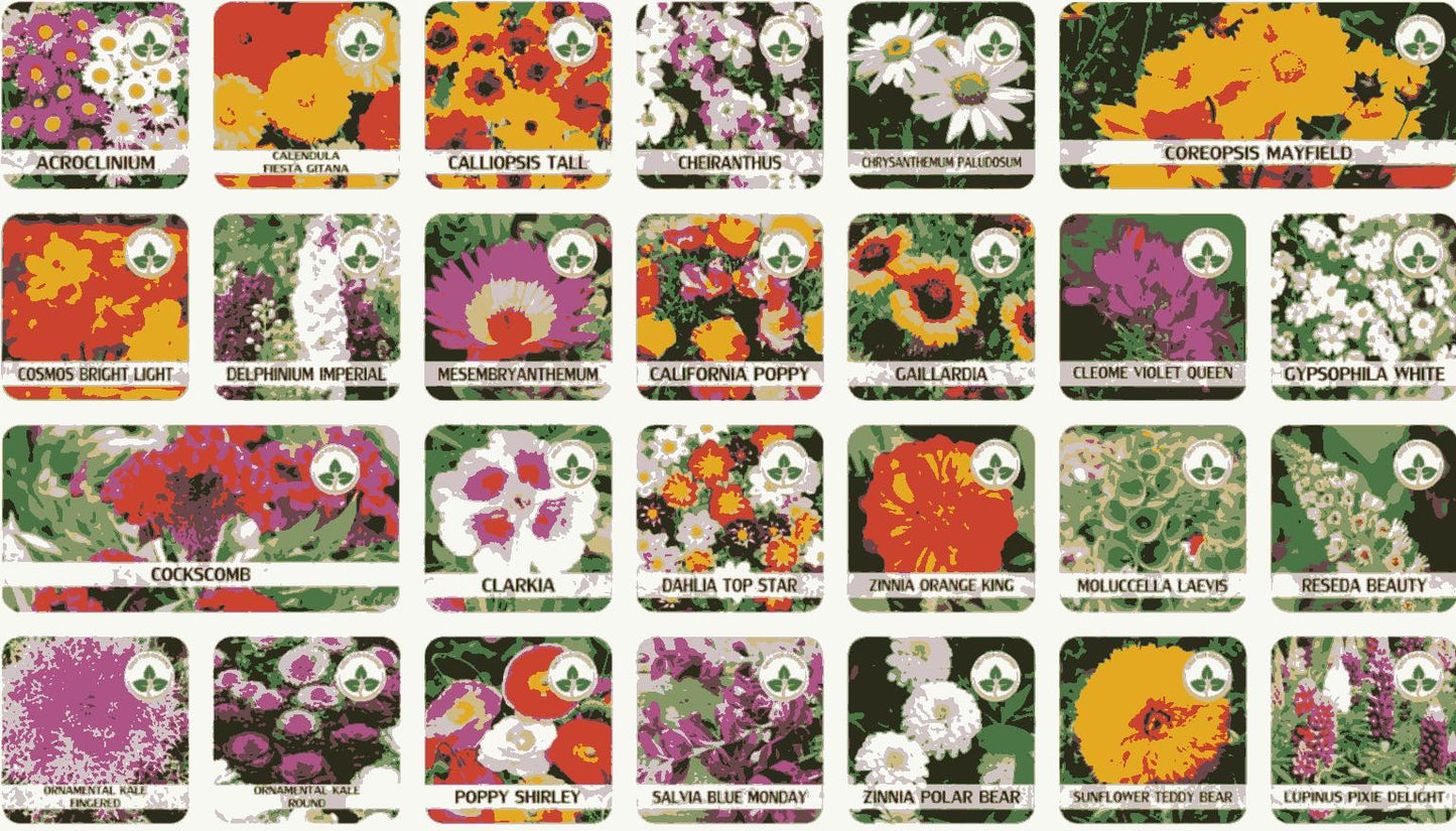 Buy Varieties of Flower Seeds Get Plant Growth Supplement Free