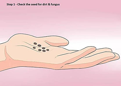 Buy Varieties of Flower Seeds Get Plant Growth Supplement Free