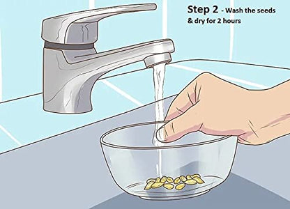 Buy Varieties of Flower Seeds Get Plant Growth Supplement Free