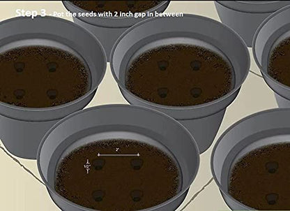 Buy Varieties of Flower Seeds Get Plant Growth Supplement Free